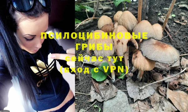марихуана Краснотурьинск