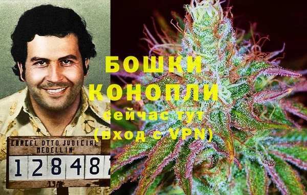 марки lsd Краснослободск