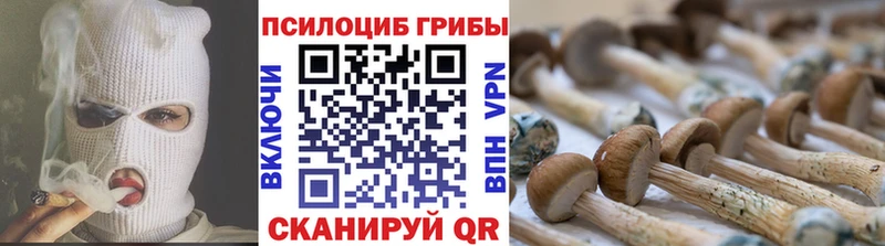 Галлюциногенные грибы прущие грибы  Лакинск 